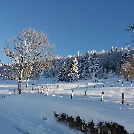 度假居 Romantique Avec Terrasse, Confort Moderne, Proche Activites Nature Et A - Fr-1-589-41