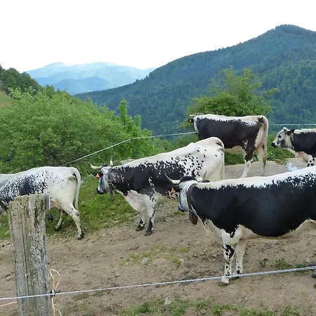 Romantique Avec Terrasse, Confort Moderne, Proche Activités Nature Et à - Fr-1-589-41 * Cornimont