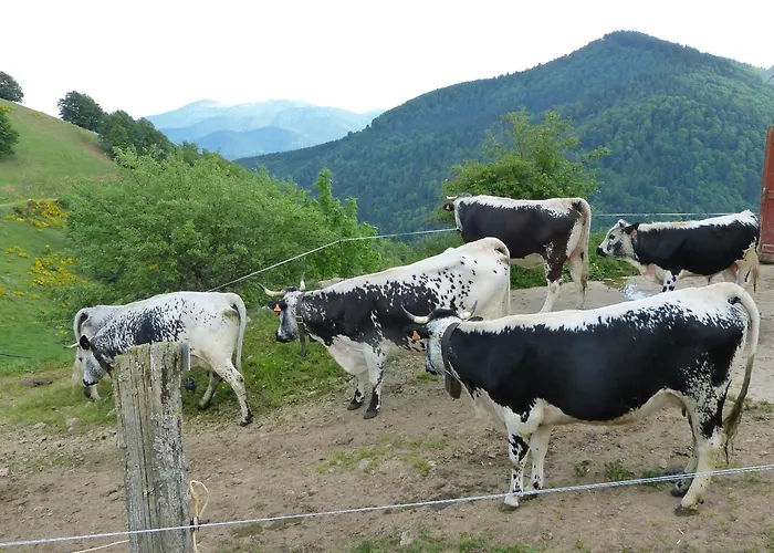 Romantique Avec Terrasse, Confort Moderne, Proche Activités Nature Et à - Fr-1-589-41 * Cornimont